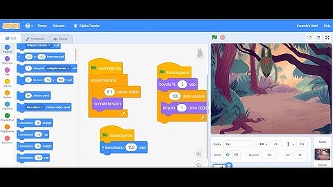 Scratch Bölüm 4 Basit Bir Animasyon Oluşturma