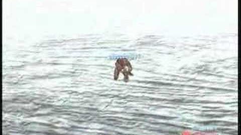 Halo 2 Containment Quickies