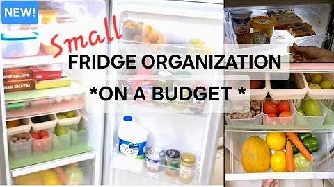 NEW SMALL FRIDGE ORGANISATION ON A BUDGET | HOW TO ORGANISE YOUR FRIDGE | DEEP CLEANING & RESTOCKING