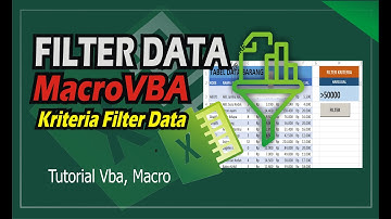 Cara Filter Data Excel dengan VBaMacro