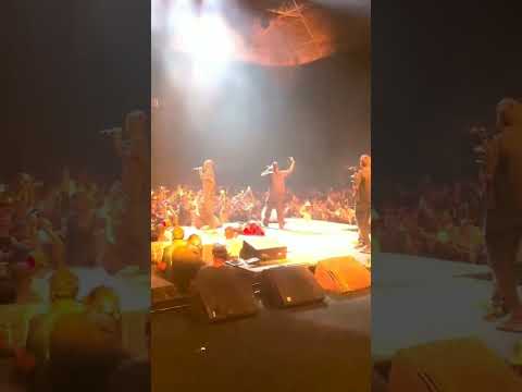 Raga x DG