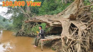 I built a camping house under a fallen tree,100 days solo survival in the forest.