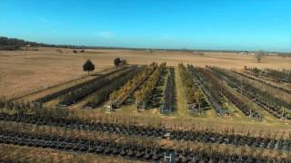 Autoflightlogic - Tree Farm With Focus, Orbit, And Zipline Mode