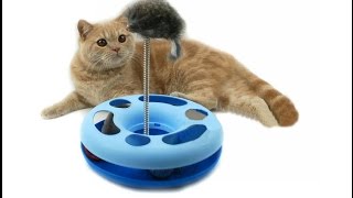 Игрушка для котов и кошек из banggood Игрушка для котов и кошек из banggood