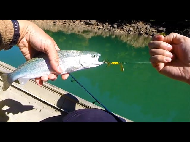 fishing with a rooster tail spinner 