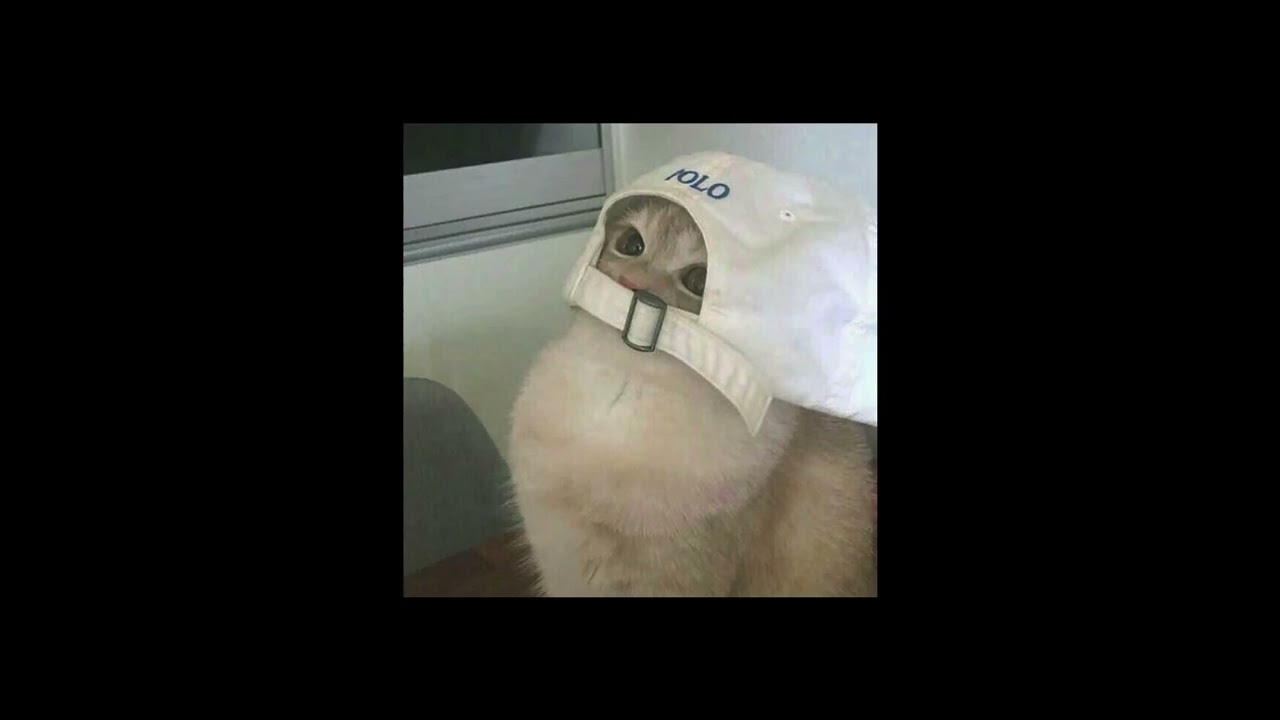 dark horse (sped up) YouTube