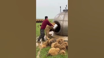 Unlock the Matrix: Code Behind the Perfect Automatic Cut 🔑💻