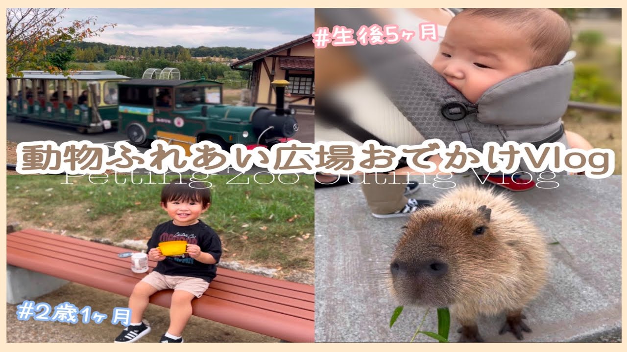 【年子育児】動物ふれあい広場おでかけVlog