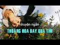 Thong hoa bay qua tim  truyn ngn sng tc