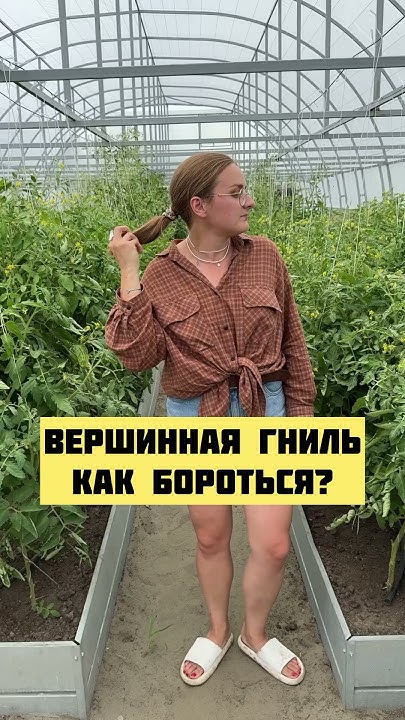 Вершинная гниль! - YouTube