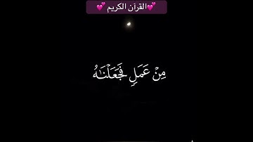 💕القرآن الكريم💕#اكسبلور #المصحف #لايك #القرآن #حالات_واتس #quran #like #watsapp #tiktok