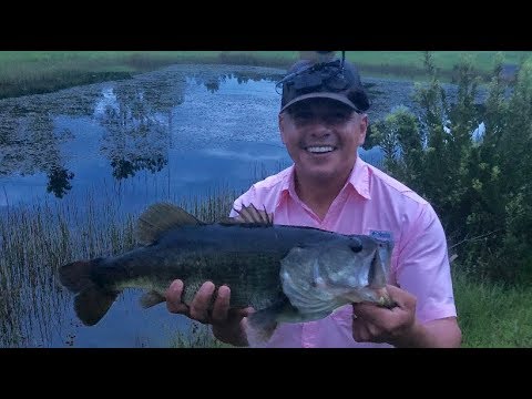 MASSIVE Largemouth Bass Hit This Saltwater Lure! Orlando FL Fishing