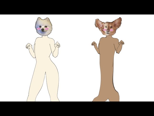 Sad Cat Dance by Ghibleaf -- Fur Affinity [dot] net