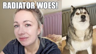 Husky Being Helpful During Reno & Radiator Woes! by Jodie Boo 20,803 views 3 days ago 38 minutes