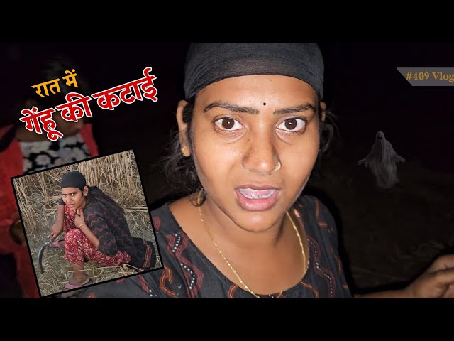 रात में गेहूं की काटने के बाद क्या हुआ??  || Shivani kumari class=