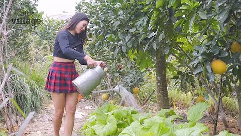 Fishing with baked soil - Julia Daily Life