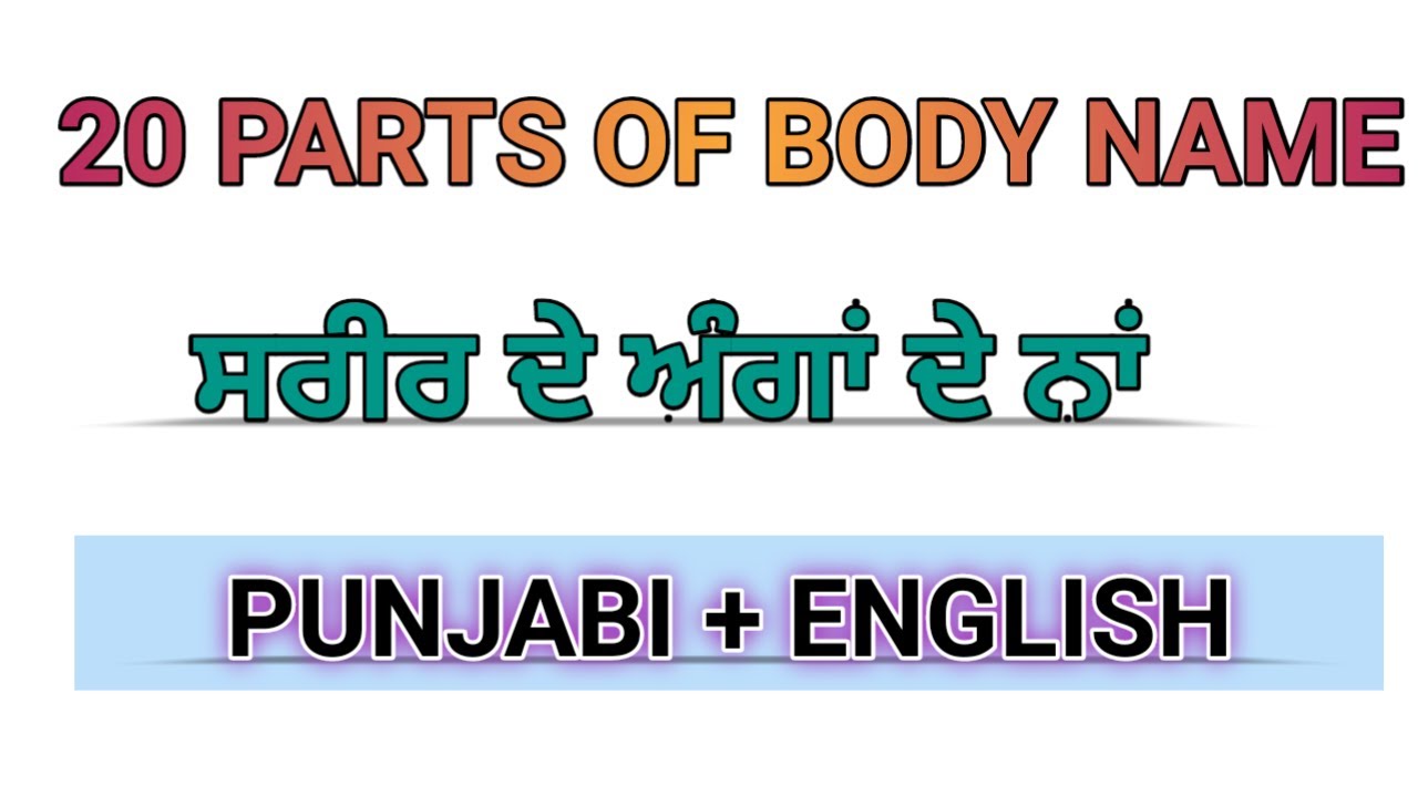 20 parts of body name in Punjabi । Parts of the body in english and