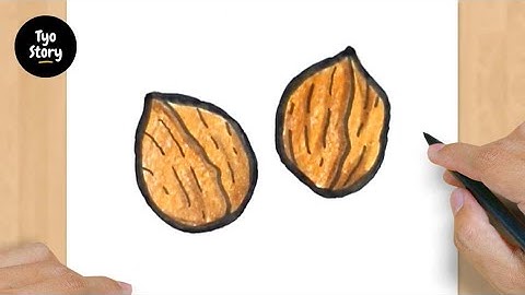 #802 How to Draw a Walnut - Easy Drawing Tutorial
