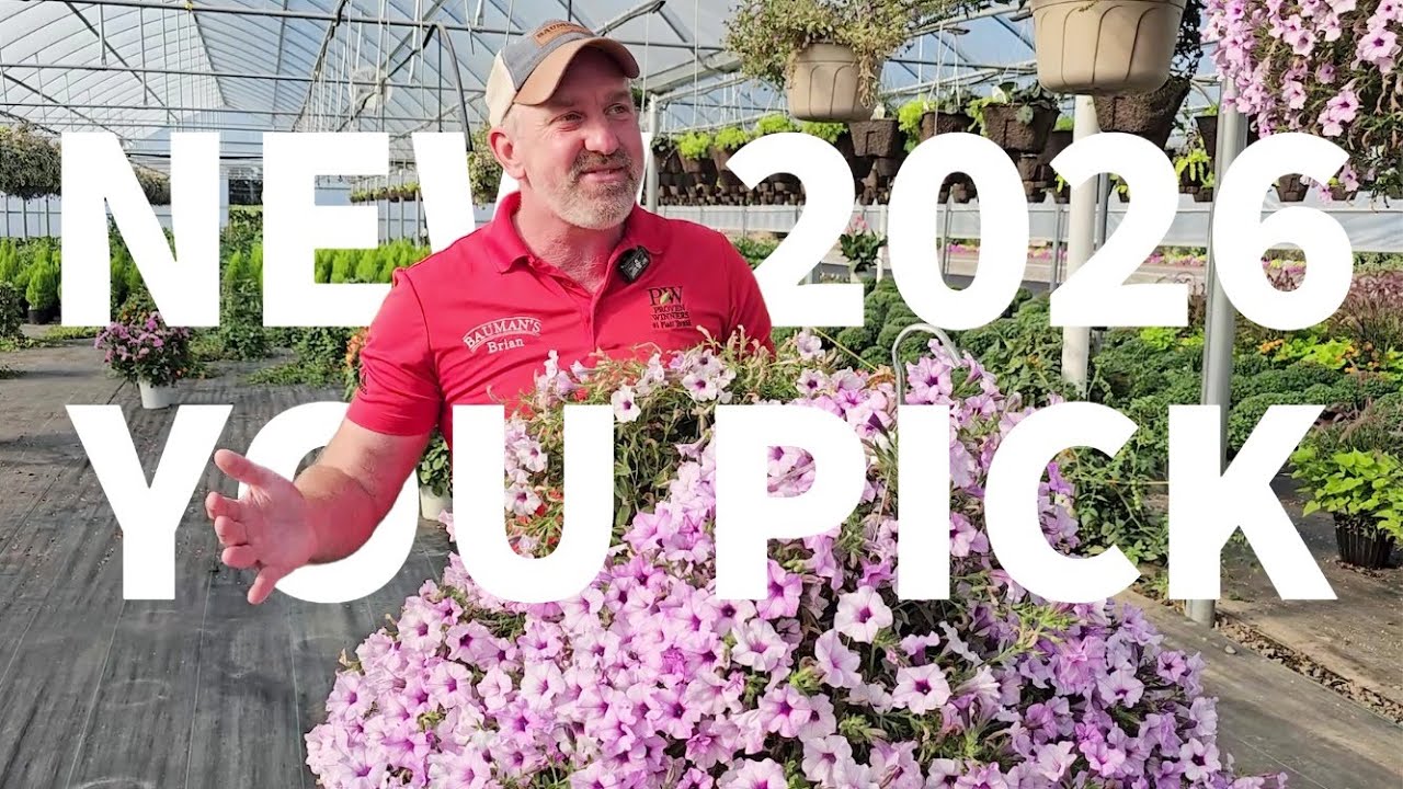 New annuals for 2026: pick your favorite at Bauman's Trial Garden || Bauman's Farm & Garden