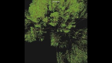 L-Systems Demonstration