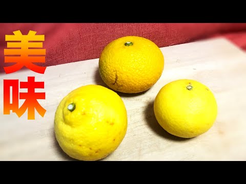 果物とひまわり（混合技法) 果物とひまわり（混合技法) 果物とひまわり（混合技法)