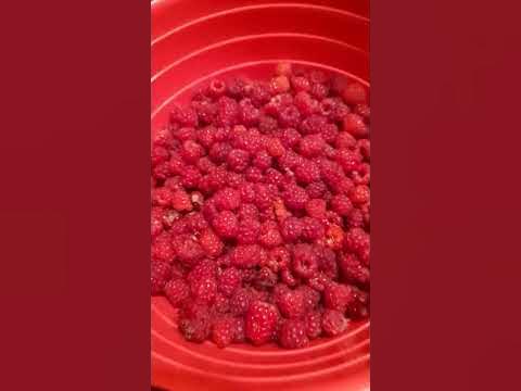 Ягодка малинка! - YouTube