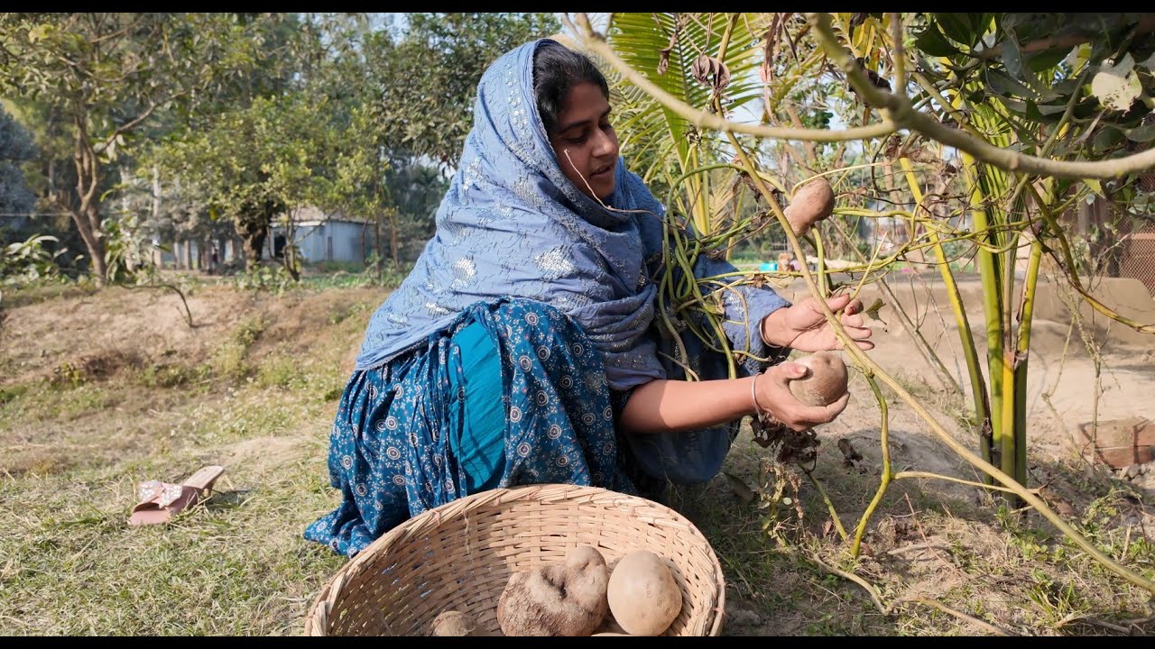 শম্পার নতুন রান্না ঘর | Doyel Agro