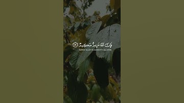 ومن يتوكل على الله || ياسر الدوسري|| سورة الطلاق