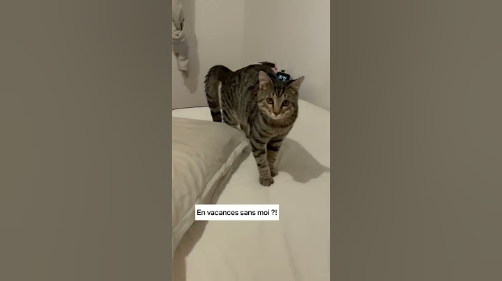 IL VA NOUS FAIRE LA FÊTE ! 😱😅