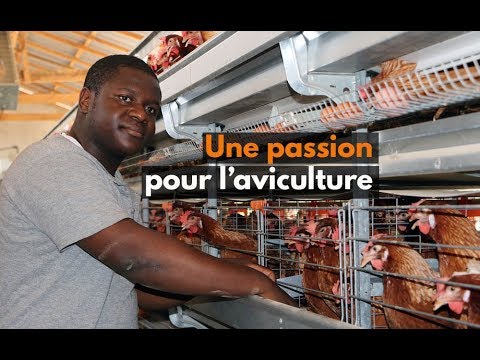 Guinée : Une passion pour l'aviculture