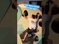 JAKOB SCHIEFER defeats gravity by two DYNOs on M3 in FINALS 2024 #boulderbundesliga #climbing