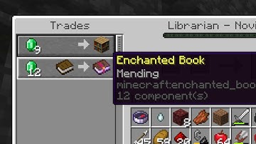 Getting Mending Enchantment Villagers is Still Super Easy in 1.21.8