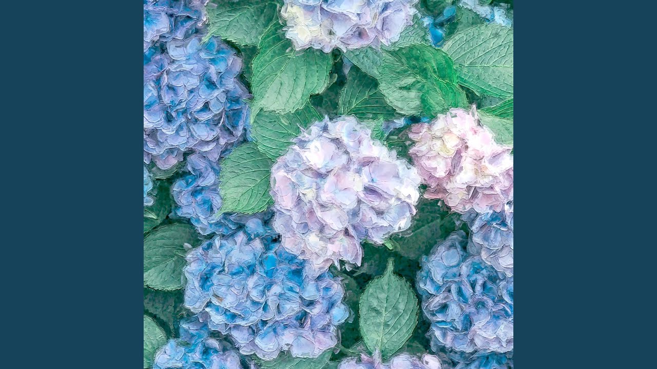 Guarda Hydrangea su YouTube Guarda Hydrangea su YouTube