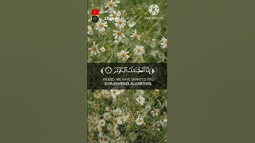 سورة الكوثر القارئ يوسف المعمري