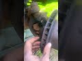 2000 ram 1500 lockout hub/brakes pt1
