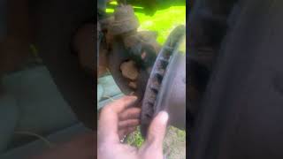 2000 ram 1500 lockout hub/brakes pt1