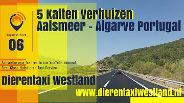 5 Katten Verhuizen van Aalsmeer naar Algarve Portugal - #Dierentaxi Westland - Vlog #13