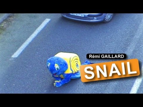 ESCARGOT (REMI GAILLARD)