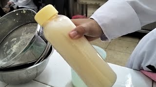 Tai Fu Sui dari Bangka Belitung/Praktik Kue dan Minuman Indonesia🥛