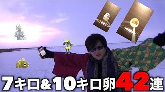 7キロ卵 Youtube