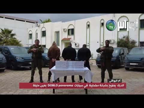أم البواقي الدرك أم يطيح بشبكة مختصة في المضاربة في السيارات    بعين مليلة