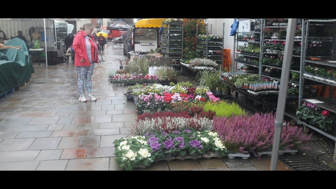 Британский дневник/ Рынок в Wallingford по пятницам