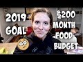 2019 Goal - Feeding a Family of 6 on $200 a month | $40 One Week Grocery Haul