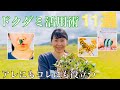 【野草の知恵】捨てちゃうなんてもったいない！ドクダミを日常に取り入れる方法