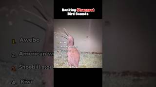 Ranking Strangest Bird Sounds