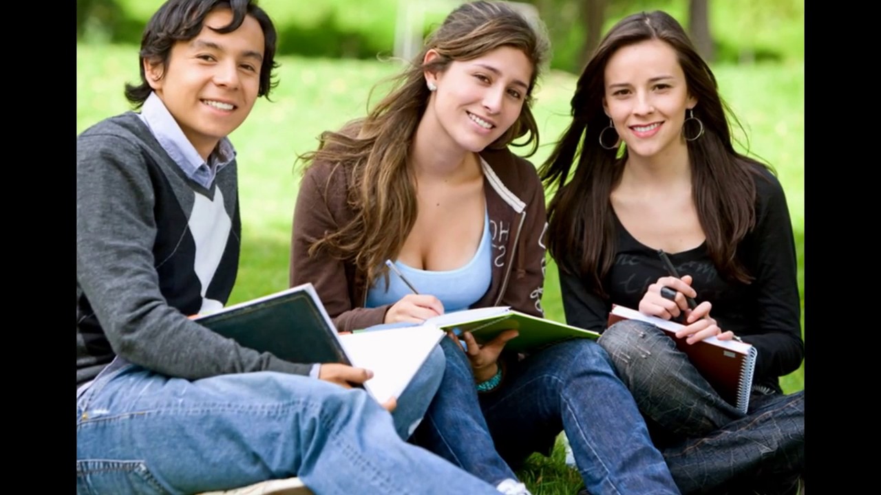 Purchase a dissertation youtube
