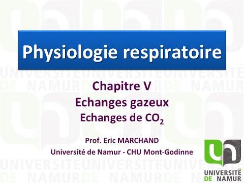 Video 6.2. Echanges de CO2