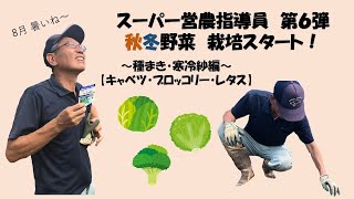 #6 スーパー営農指導員がわかりやすく教える！【家庭菜園 秋冬産キャベツ・ブロッコリー・レタス種まきと管理】