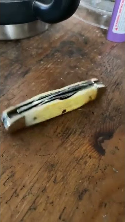 Case Humpback Spinner knife