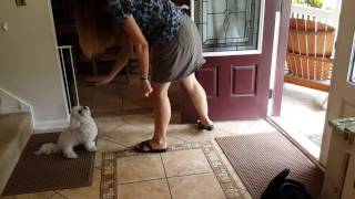 Moses, Door Manners, 8.31.16